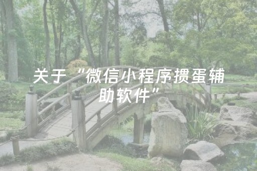关于“微信小程序掼蛋辅助软件”（胜负规律拿好牌)