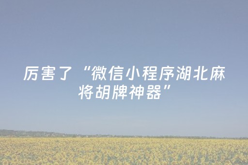 厉害了“微信小程序湖北麻将胡牌神器”（辅助神器免费)