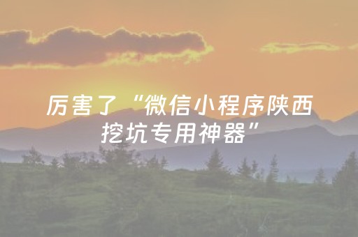 厉害了“微信小程序陕西挖坑专用神器”（可以设置输赢吗)