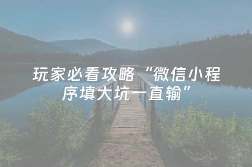 玩家必看攻略“微信小程序填大坑一直输”（做弊器软件下载)
