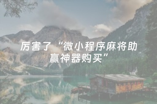 厉害了“微小程序麻将助赢神器购买”（助赢神器)