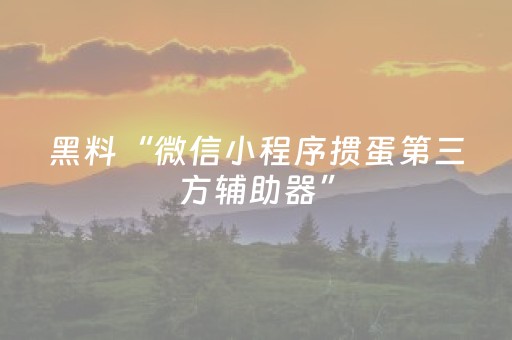 黑料“微信小程序掼蛋第三方辅助器”（开挂辅助器脚本)