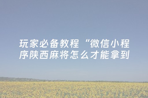 玩家必备教程“微信小程序陕西麻将怎么才能拿到好牌”（赢的技巧规律)