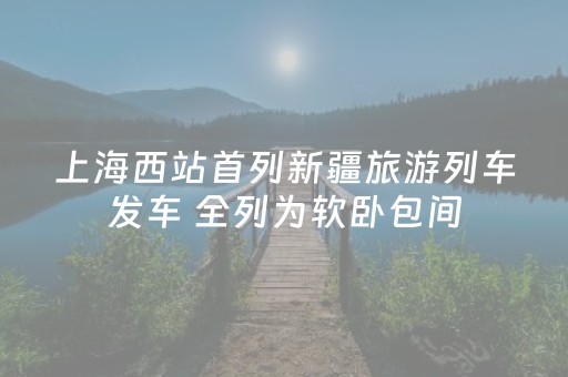 上海西站首列新疆旅游列车发车 全列为软卧包间