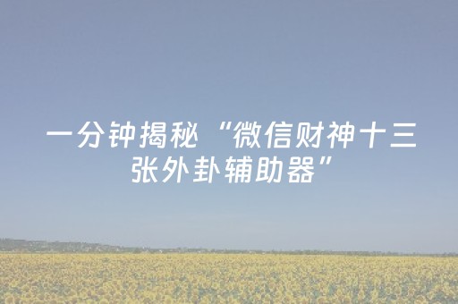 一分钟揭秘“微信财神十三张外卦辅助器”（技巧和打好牌方法)