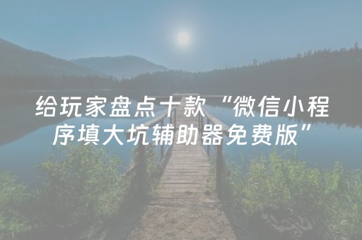 给玩家盘点十款“微信小程序填大坑辅助器免费版”（透明器教程)