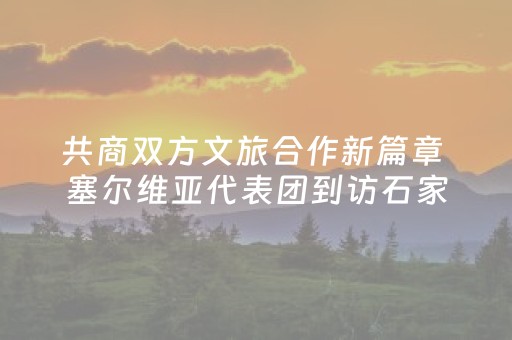 共商双方文旅合作新篇章 塞尔维亚代表团到访石家庄