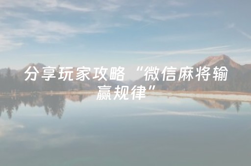 分享玩家攻略“微信麻将输赢规律”（开挂辅助插件)