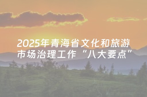 2025年青海省文化和旅游市场治理工作“八大要点”