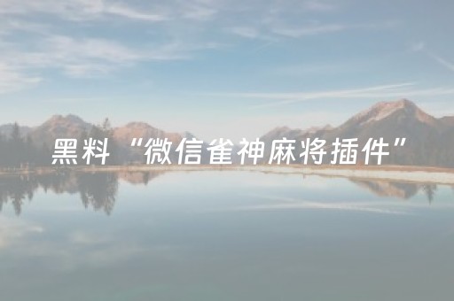 黑料“微信雀神麻将插件”（开挂辅助脚本)