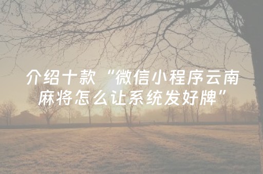 介绍十款“微信小程序云南麻将怎么让系统发好牌”（如何提高胜率)