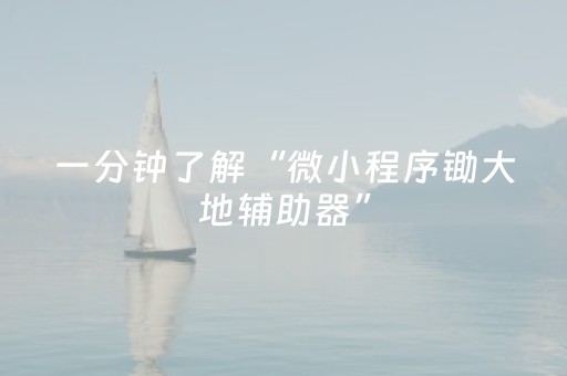一分钟了解“微小程序锄大地辅助器”（怎么控制输赢)