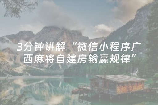3分钟讲解“微信小程序广西麻将自建房输赢规律”（辅助挂发牌规律)