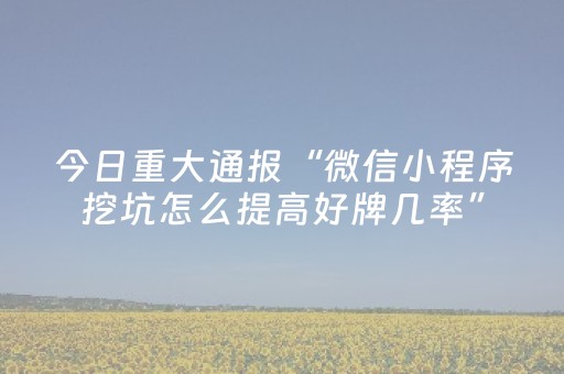 今日重大通报“微信小程序挖坑怎么提高好牌几率”（确实有插件吗)