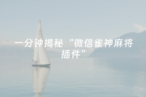 一分钟揭秘“微信雀神麻将插件”（赢的技巧规律)