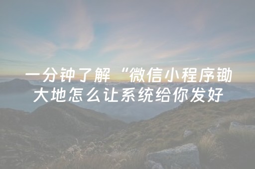 一分钟了解“微信小程序锄大地怎么让系统给你发好牌”（控牌器)