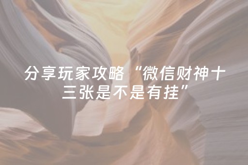 分享玩家攻略“微信财神十三张是不是有挂”（控牌器)