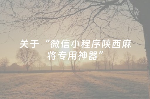 关于“微信小程序陕西麻将专用神器”（控牌神器)