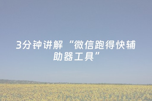 3分钟讲解“微信跑得快辅助器工具”（透明挂辅助器)