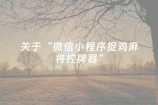 关于“微信小程序捉鸡麻将控牌器”（助攻神器)