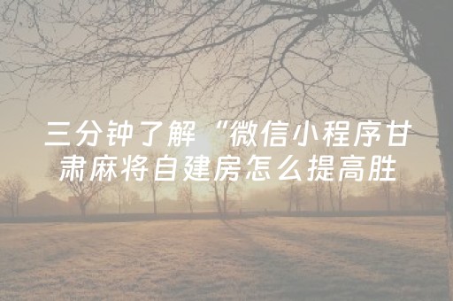 三分钟了解“微信小程序甘肃麻将自建房怎么提高胜率”（控牌神器)
