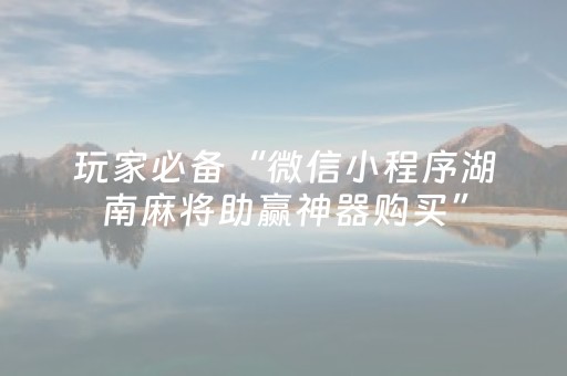 玩家必备“微信小程序湖南麻将助赢神器购买”（做弊器软件下载)