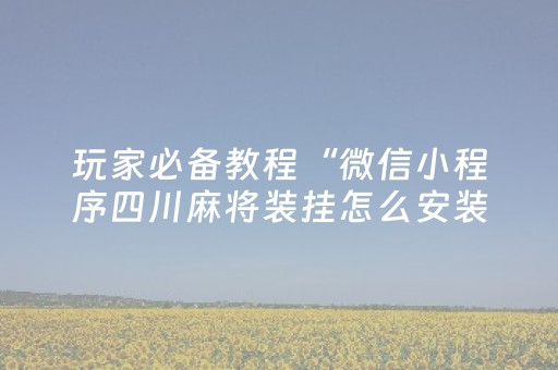 玩家必备教程“微信小程序四川麻将装挂怎么安装”（透明器教程)