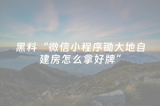 黑料“微信小程序锄大地自建房怎么拿好牌”（是否能开挂)