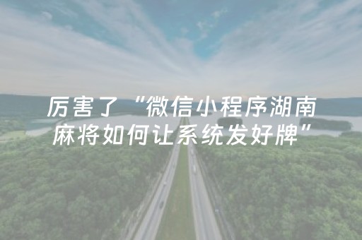 厉害了“微信小程序湖南麻将如何让系统发好牌”（辅助器插件)