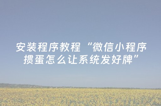 安装程序教程“微信小程序掼蛋怎么让系统发好牌”（软件出售)