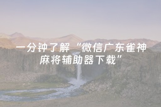 一分钟了解“微信广东雀神麻将辅助器下载”（透明挂辅助器)