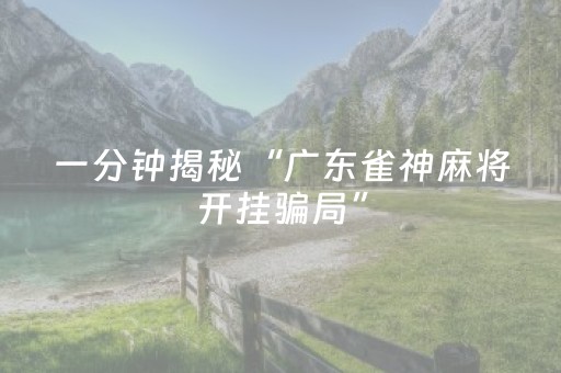 一分钟揭秘“广东雀神麻将开挂骗局”（怎么能得到好牌)