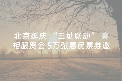 北京延庆 “三址联动” 亮相服贸会 5万张惠民票券邀客打卡