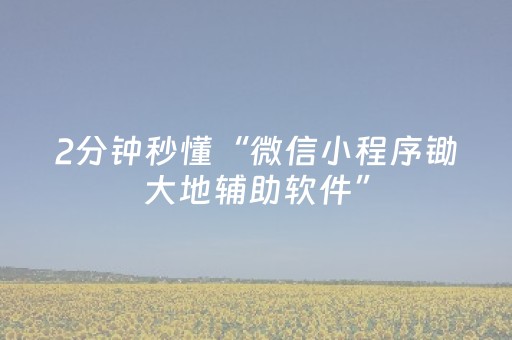 2分钟秒懂“微信小程序锄大地辅助软件”（如何提高胜率)