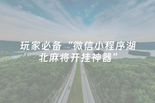 玩家必备“微信小程序湖北麻将开挂神器”（软挂神器)
