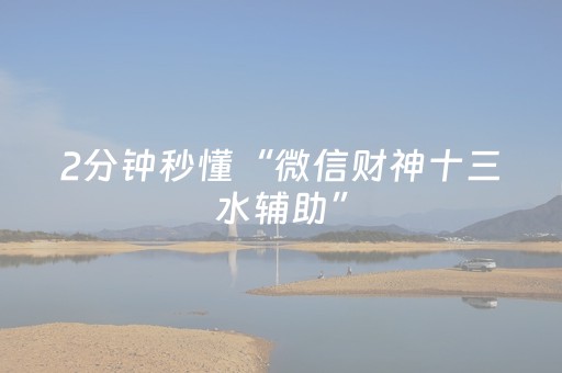 2分钟秒懂“微信财神十三水辅助”（辅助器插件)