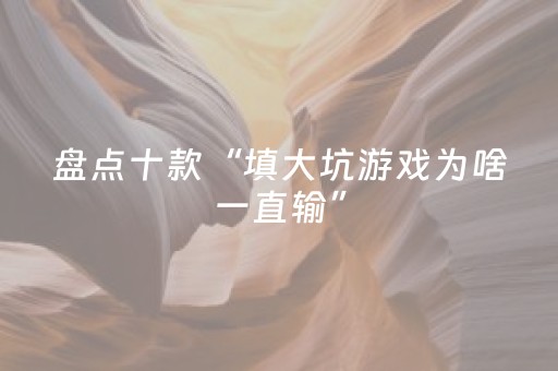 盘点十款“填大坑游戏为啥一直输”（辅牌器插件购买)