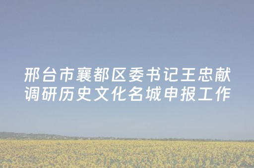 邢台市襄都区委书记王忠献调研历史文化名城申报工作
