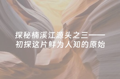 玩家必备“手机麻将通用挂软件多少钱”（怎么能得到好牌)
