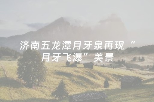玩家必备十款“微信广东雀神麻将插件”（如何提高胜率)