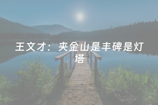 盘点十款“微小程序锄大地辅助器”（透明器教程)