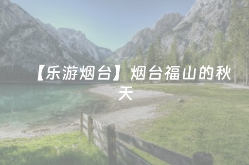 安装教程“麻将辅牌器购买”（胜负规律拿好牌)