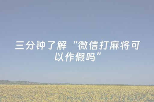 三分钟了解“微信打麻将可以作假吗”（专用神器下载)