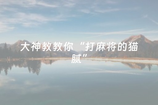 大神教教你“打麻将的猫腻”（怎么增加胜率)