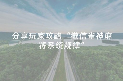 分享玩家攻略“微信雀神麻将系统规律”（辅助软件)