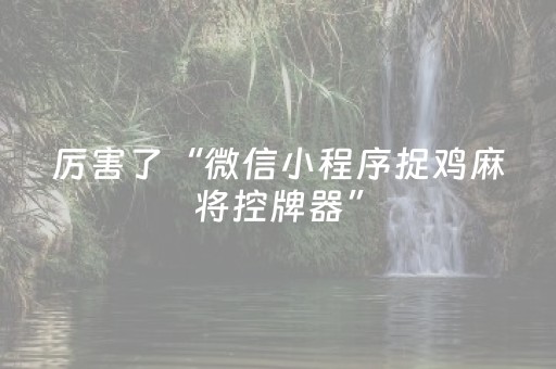 厉害了“微信小程序捉鸡麻将控牌器”（助赢神器购买)