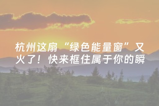 介绍十款“微信小程序福建麻将专用神器”（通用挂软件多少钱)