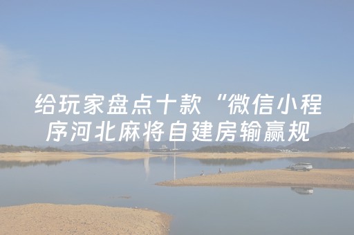 给玩家盘点十款“微信小程序河北麻将自建房输赢规律”（AI辅助胡牌规则)