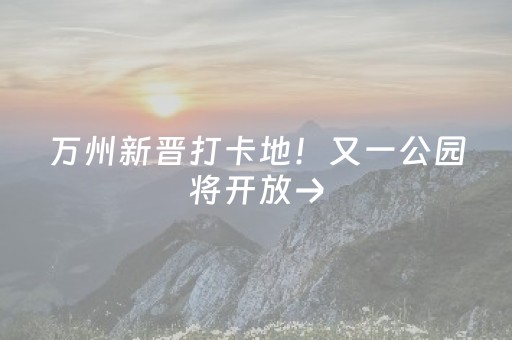 厉害了“微信小程序浙江麻将攻略插件”（控牌神器)