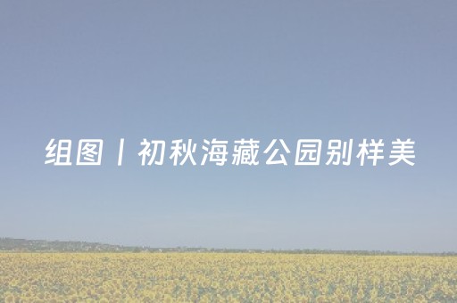 玩家必备“手机麻将助赢神器免安装”（胜率到哪调)